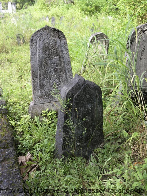 308_PC072794