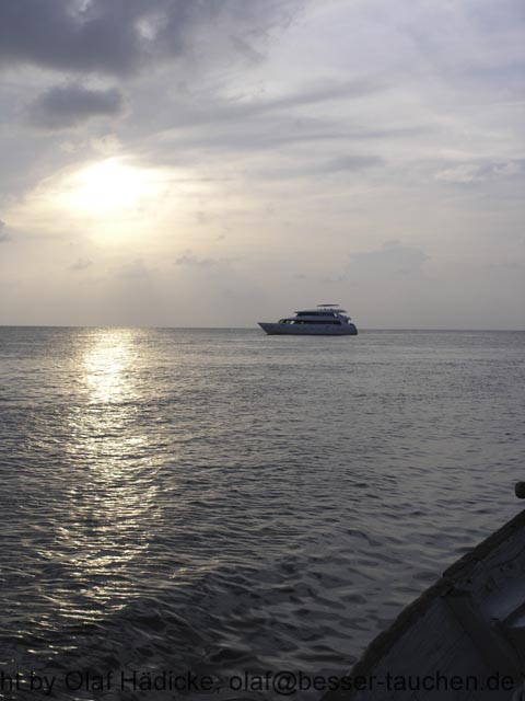 340_PC072841