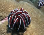 215_PC052544