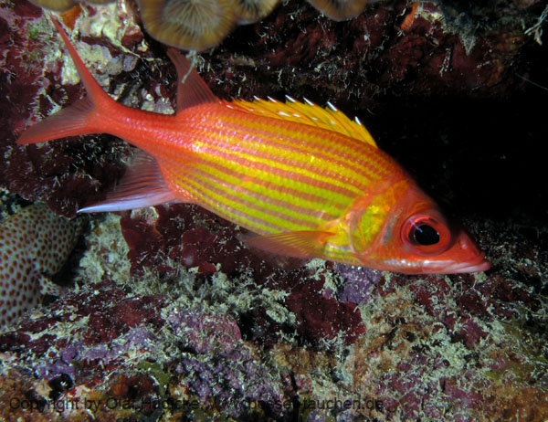 108_P5245082