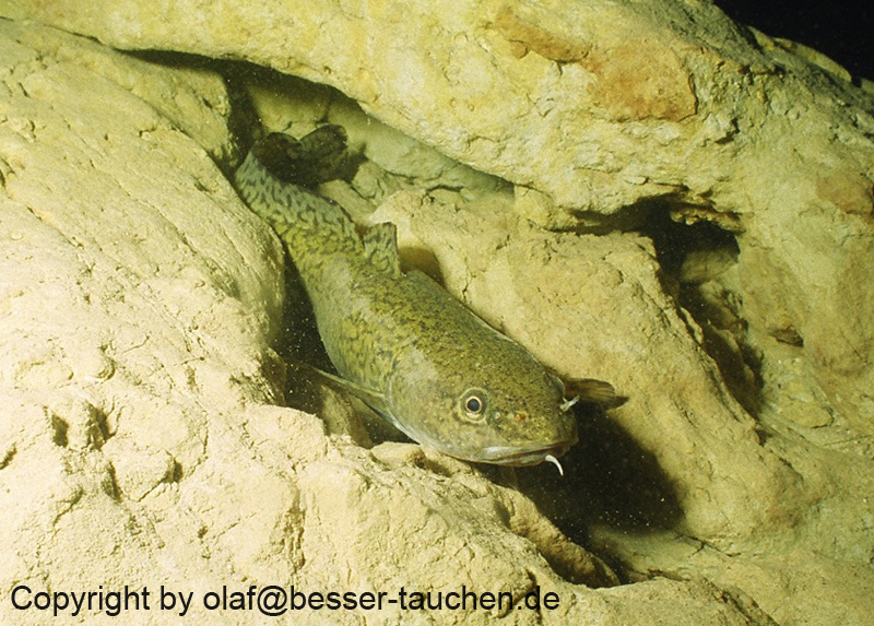 01_sta_53290012