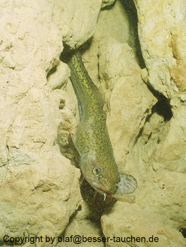 03_sta_53290015