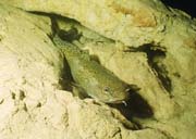 01_sta_53290012
