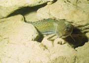 02_sta_53290013