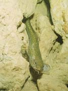 03_sta_53290015