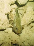 04_sta_53290016