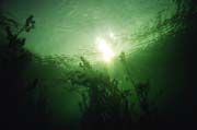 12_sta_53290032