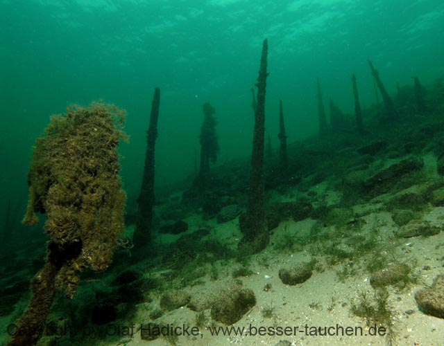 Bodensee_05