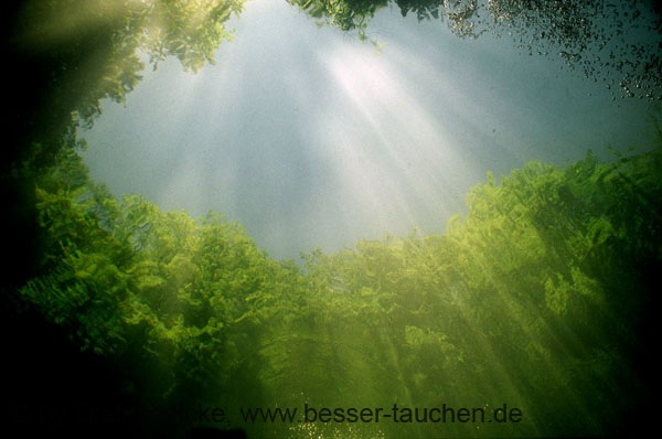 38_47320017