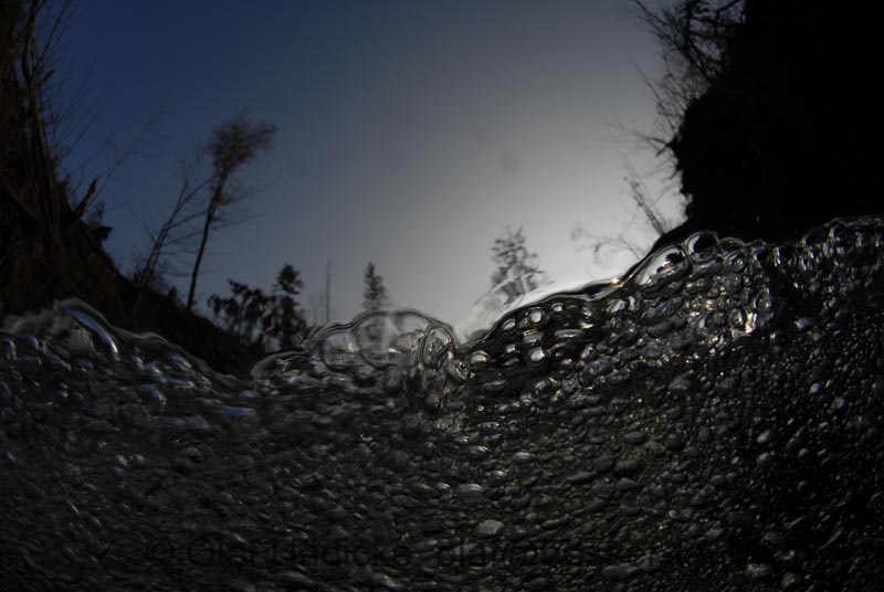 _DSC0053