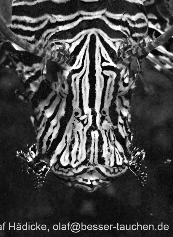 23_DSC0032buw
