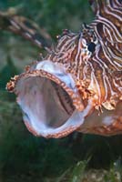 79_DSC0346